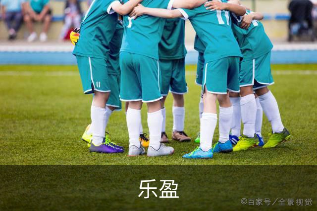 乐盈公司介绍图